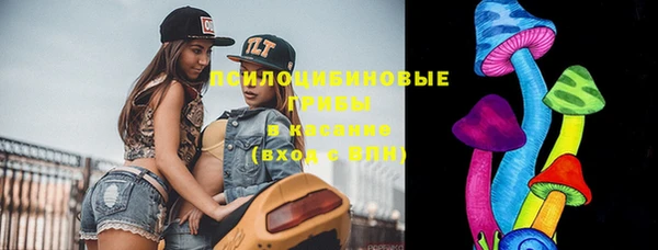 ешки Алексин