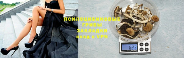 ешки Алексин