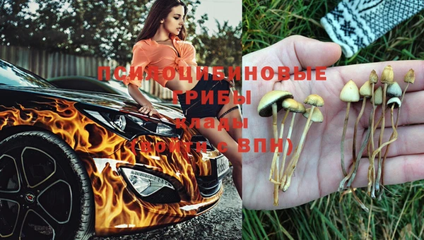 твердый Алзамай